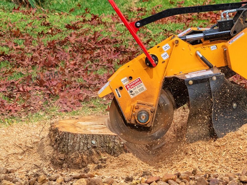 Stump-Grinding-Indianapolis-Indiana